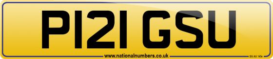 P121 GSU