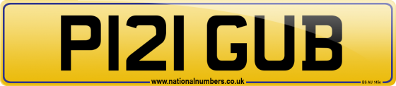 P121 GUB