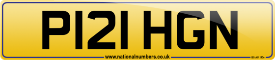 P121 HGN