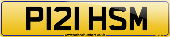 P121 HSM