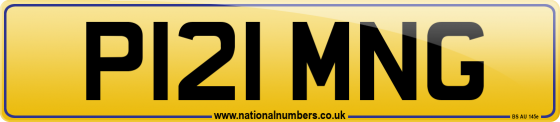 P121 MNG