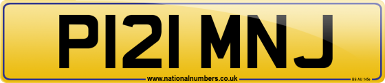 P121 MNJ