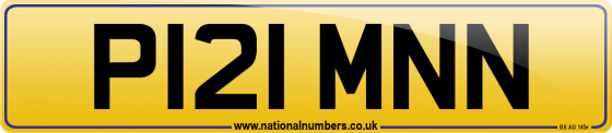P121 MNN