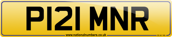 P121 MNR