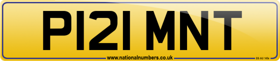 P121 MNT