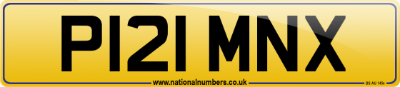 P121 MNX