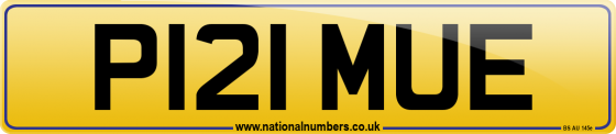 P121 MUE