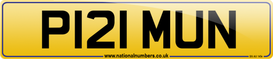 P121 MUN