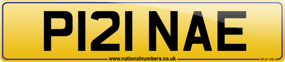 P121 NAE