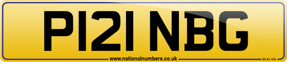 P121 NBG