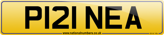 P121 NEA