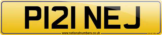 P121 NEJ