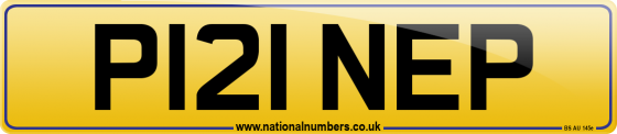 P121 NEP