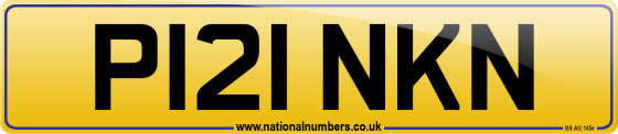 P121 NKN
