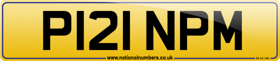 P121 NPM