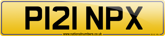 P121 NPX