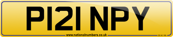 P121 NPY