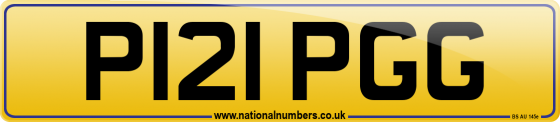 P121 PGG
