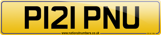 P121 PNU