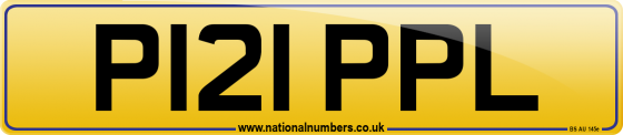 P121 PPL