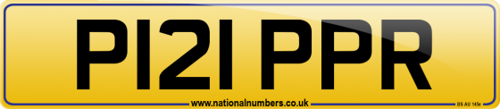 P121 PPR