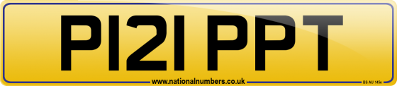 P121 PPT