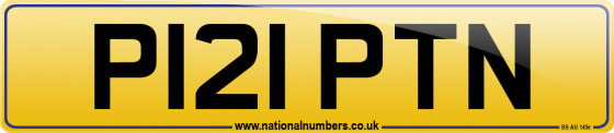 P121 PTN