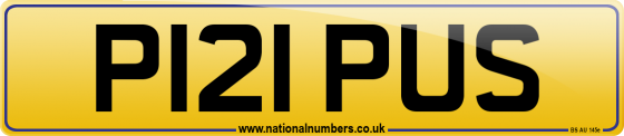 P121 PUS