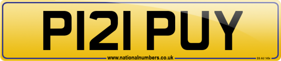 P121 PUY