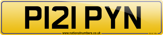P121 PYN