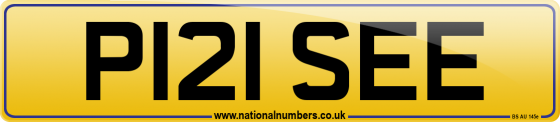 P121 SEE