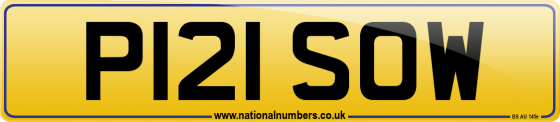 P121 SOW