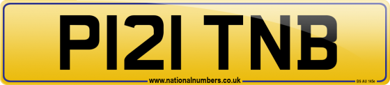 P121 TNB