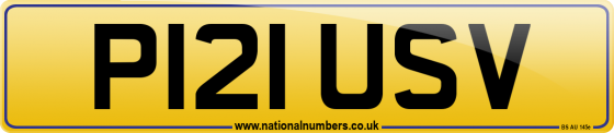 P121 USV