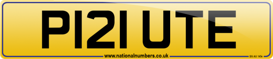 P121 UTE