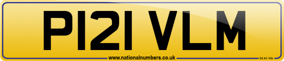P121 VLM