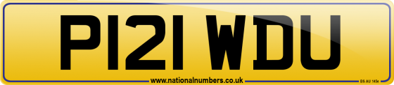 P121 WDU