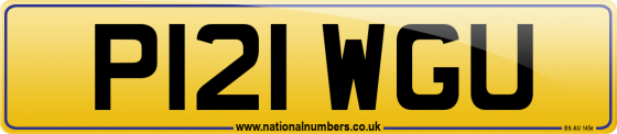 P121 WGU