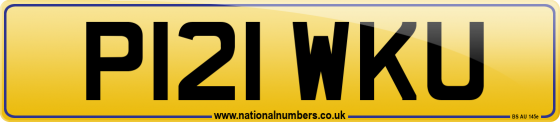 P121 WKU