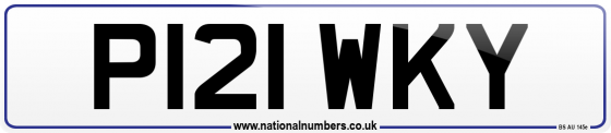 P121 WKY