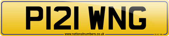 P121 WNG