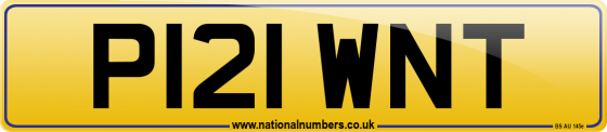 P121 WNT