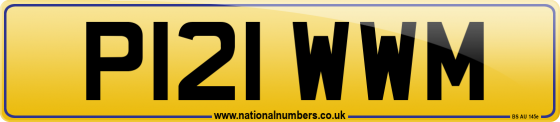 P121 WWM