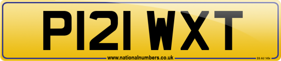 P121 WXT