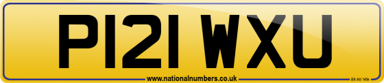 P121 WXU