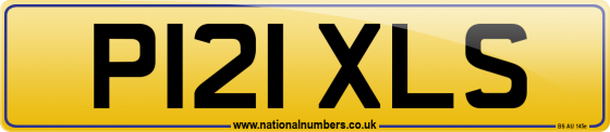 P121 XLS
