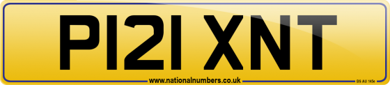 P121 XNT