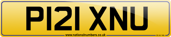 P121 XNU