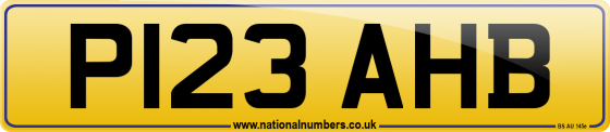 P123 AHB