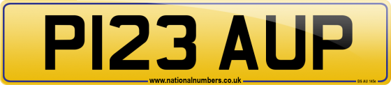P123 AUP